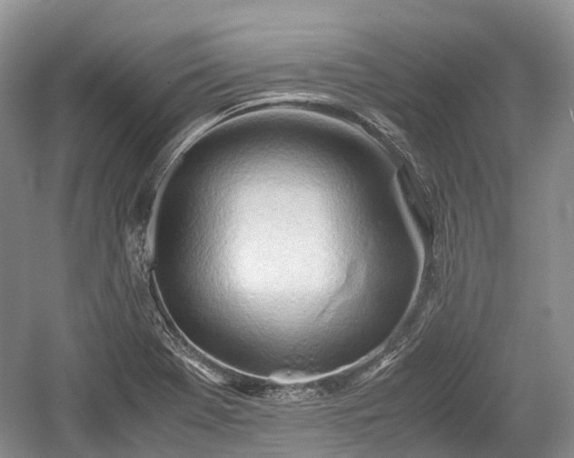 X0000059801369200510241318