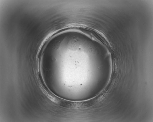 X0000059801371200510241318