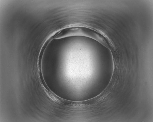 X0000059801372200510241318