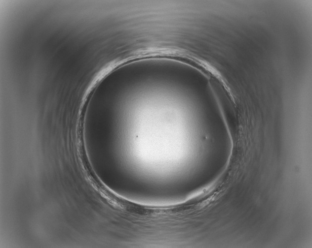 X0000059801373200510241318