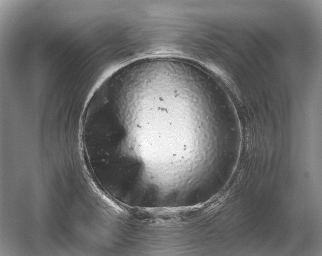 X0000059801374200510241318