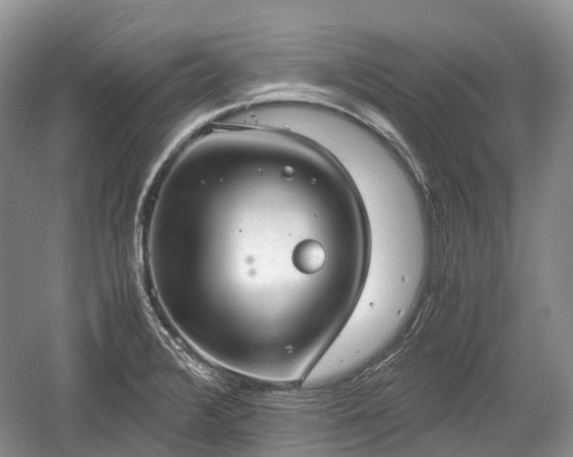 X0000059801376200510241318