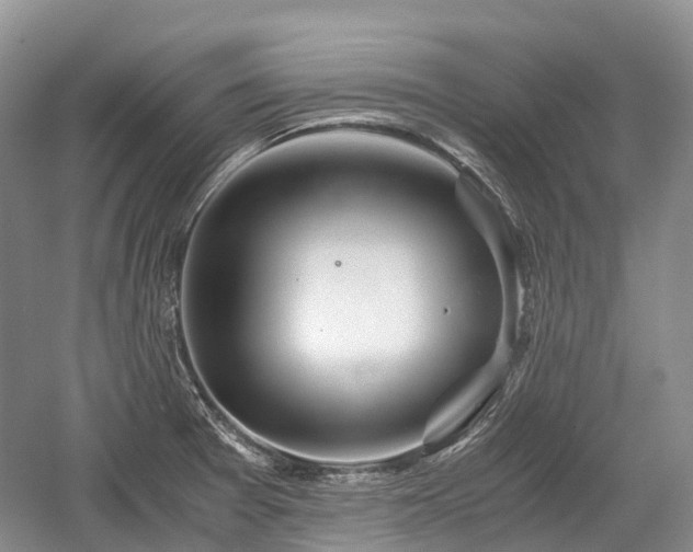 X0000059801377200510241318