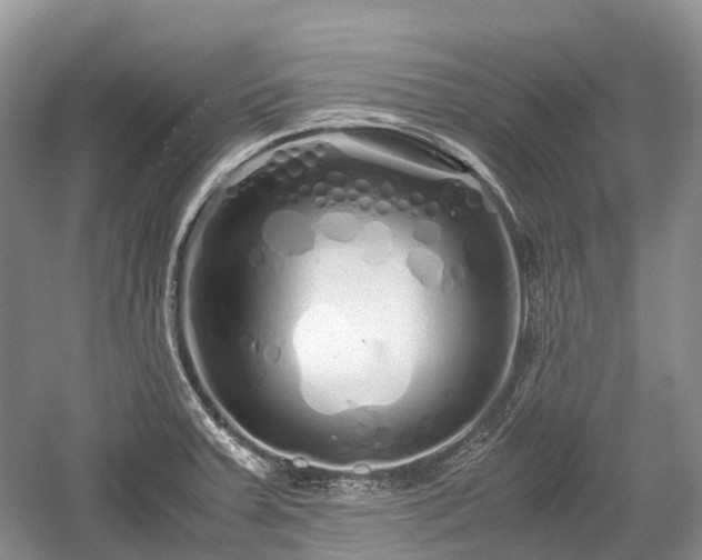 X0000059801379200510241318