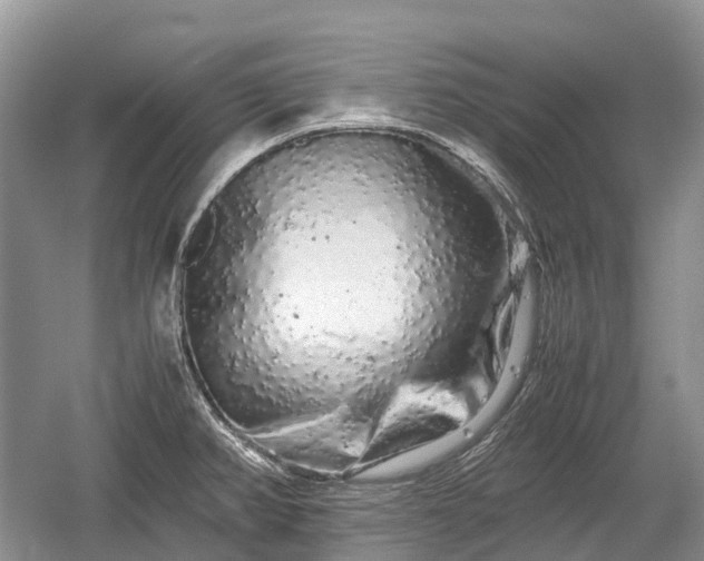 X0000059801382200510241318