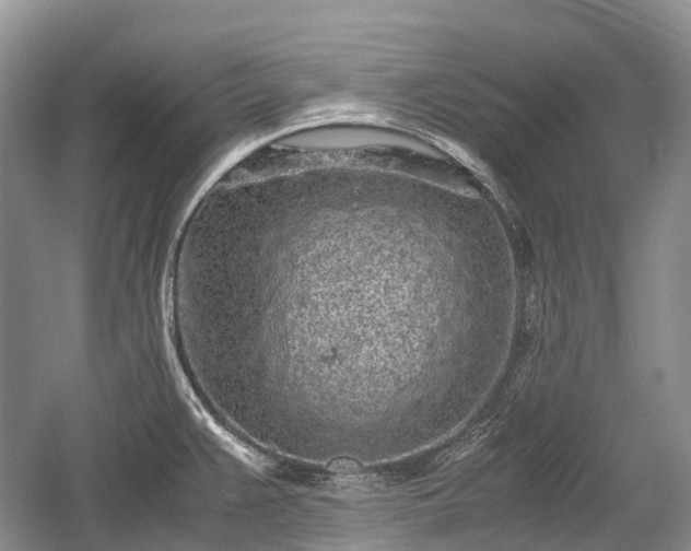 X0000059801383200510241318