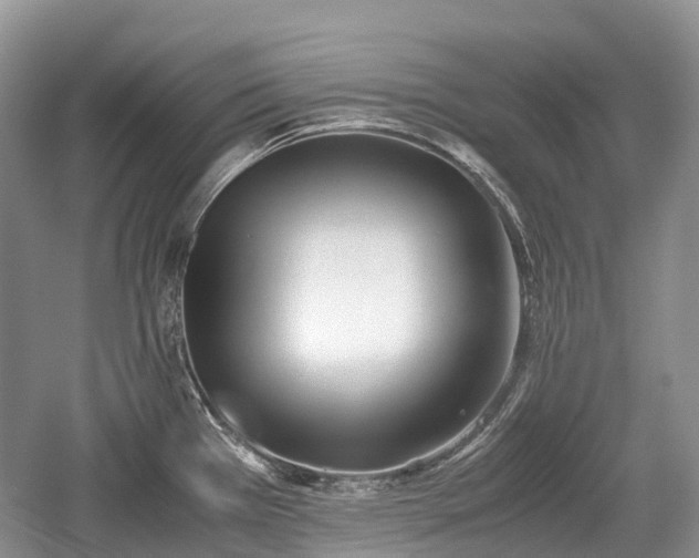 X0000059801385200510241318