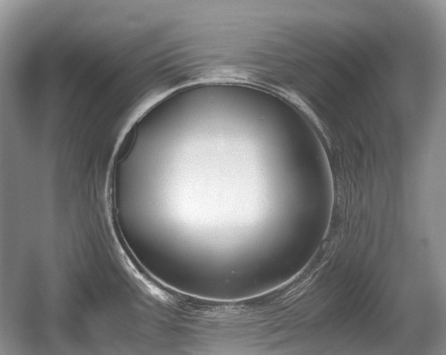 X0000059801387200510241318