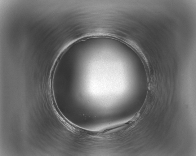 X0000059801388200510241318