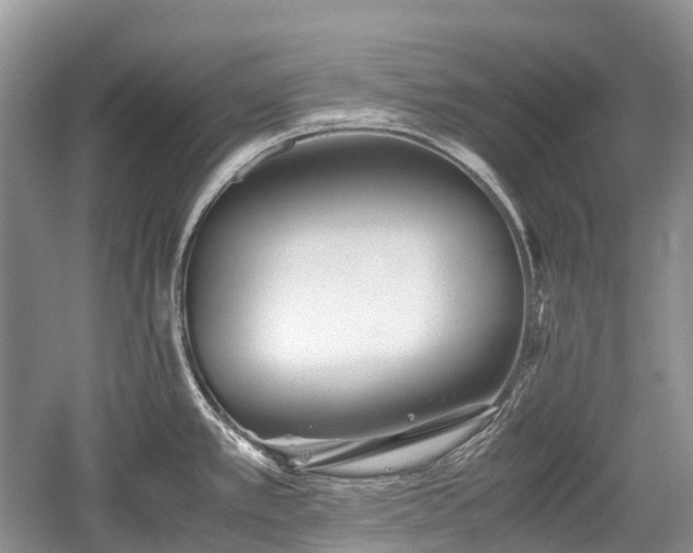 X0000059801389200510241318