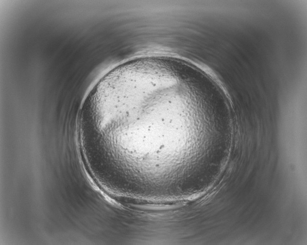 X0000059801390200510241318