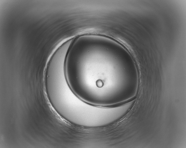 X0000059801392200510241318