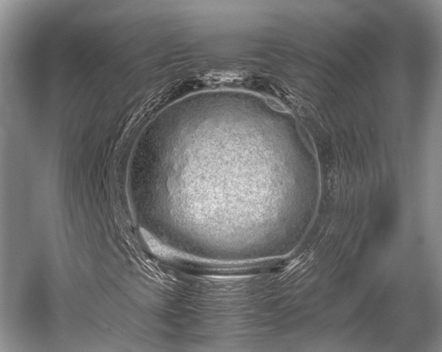 X0000059801393200510241317