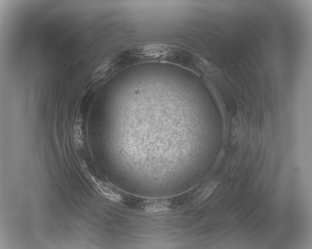 X0000059801394200510241317