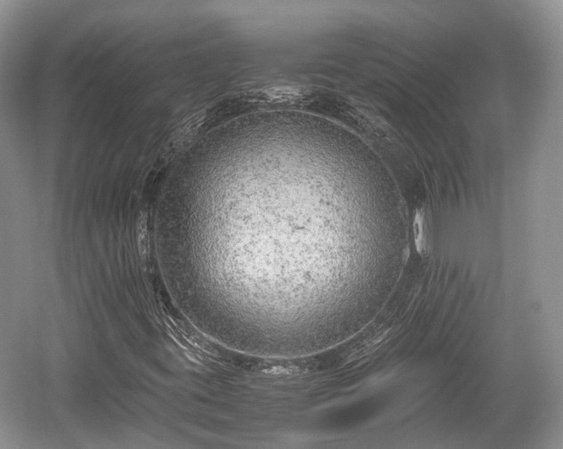 X0000059801395200510241317