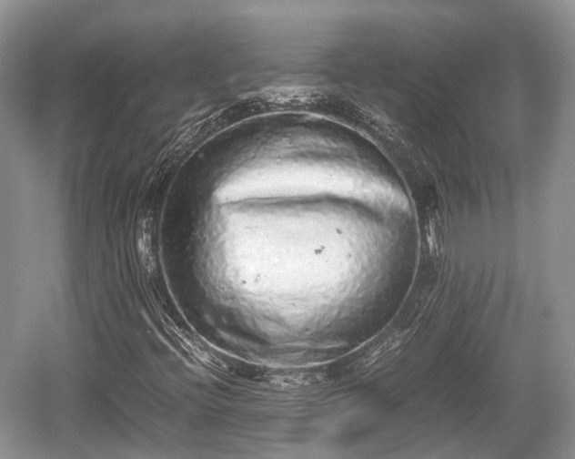 X0000059801396200510241317