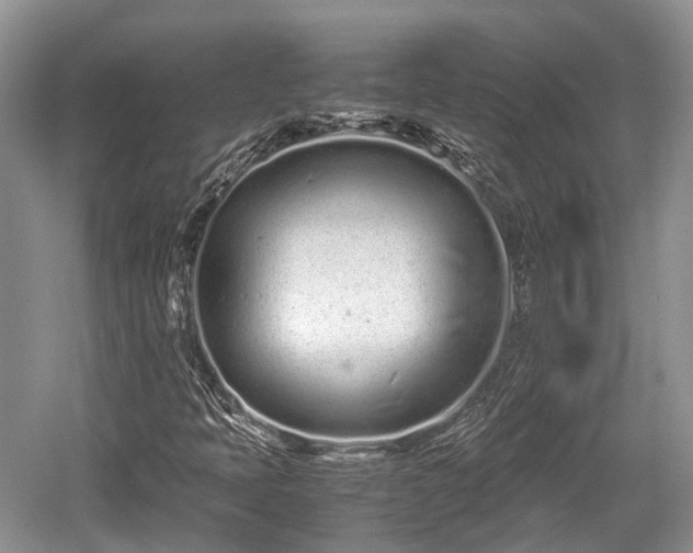 X0000059801397200510241317