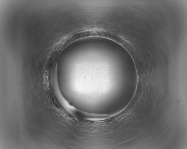 X0000059801398200510241317