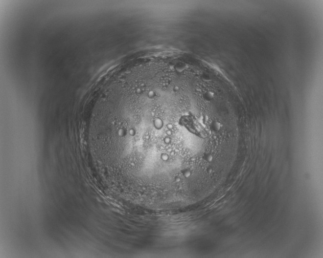 X0000059801399200510241317