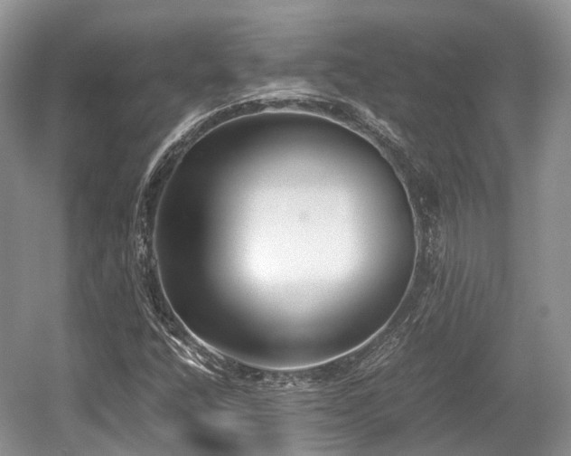 X0000059801400200510241317