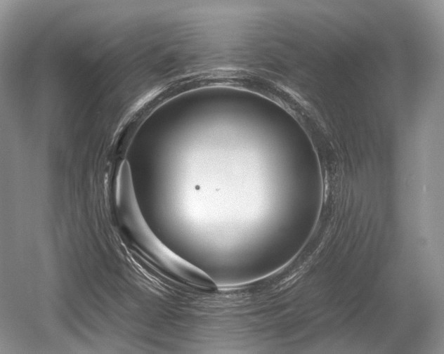 X0000059801402200510241317