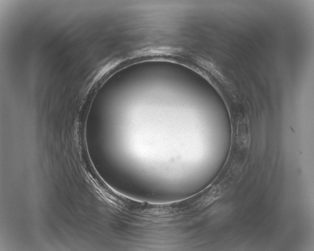 X0000059801404200510241317