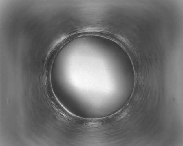 X0000059801406200510241317