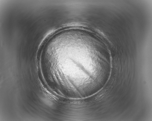 X0000059801408200510241317