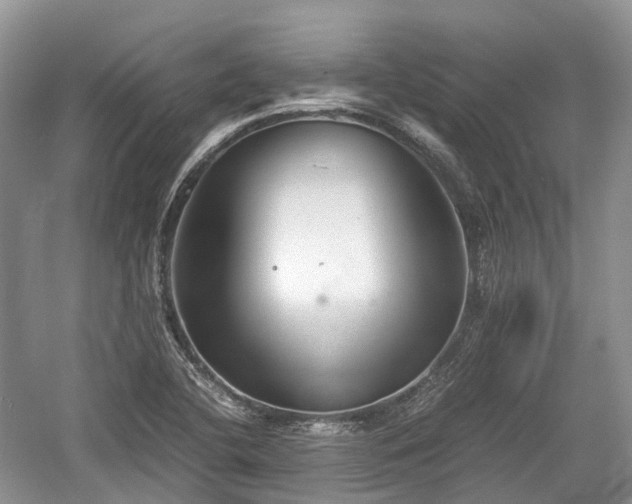 X0000059801412200510241317