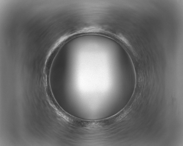 X0000059801414200510241317