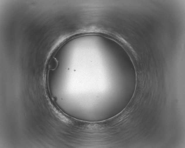 X0000059801416200510241317