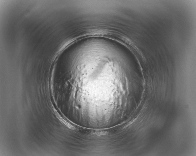 X0000059801417200510241317