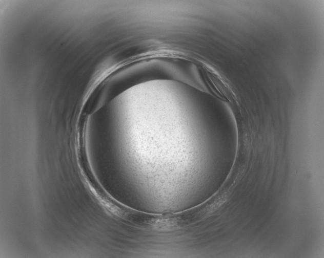 X0000059801418200510241317