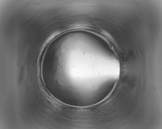 X0000059801419200510241317