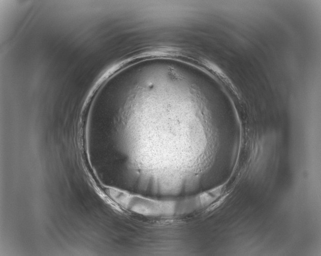 X0000059801421200510241317