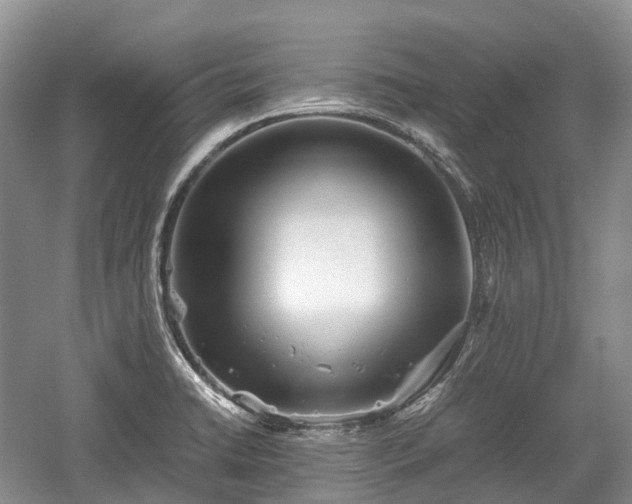 X0000059801422200510241317