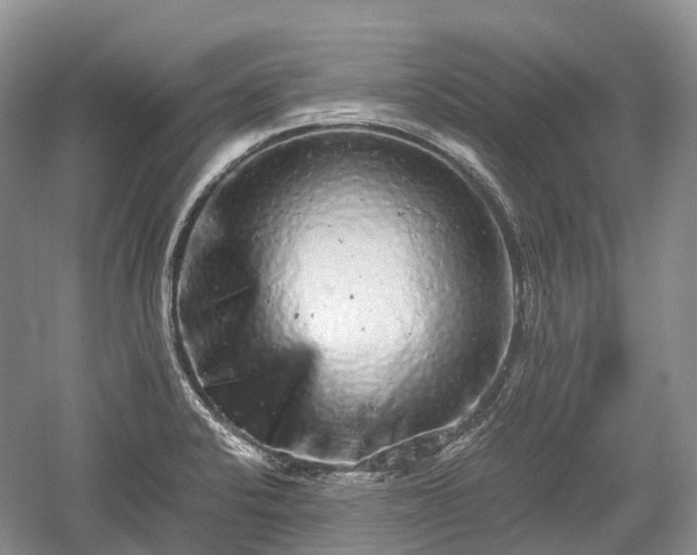 X0000059801424200510241317