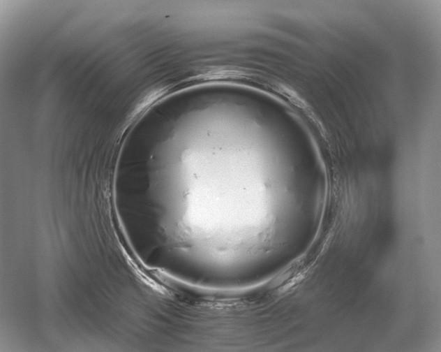 X0000059801425200510241317