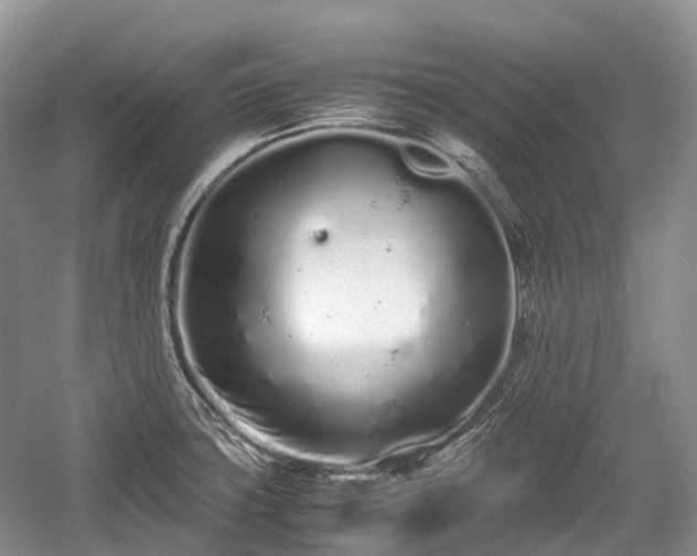 X0000059801427200510241317