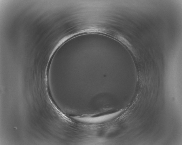 X0000059801428200510241317