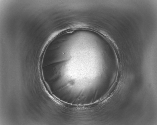 X0000059801429200510241317