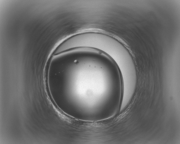 X0000059801430200510241317