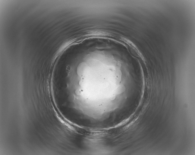 X0000059801433200510241317