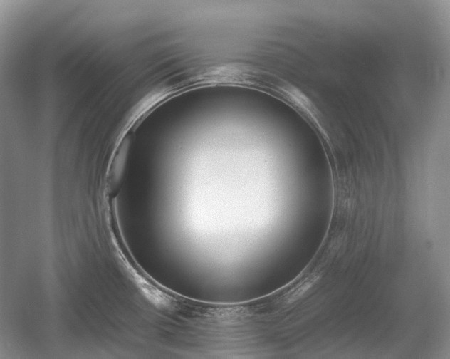 X0000059801434200510241317