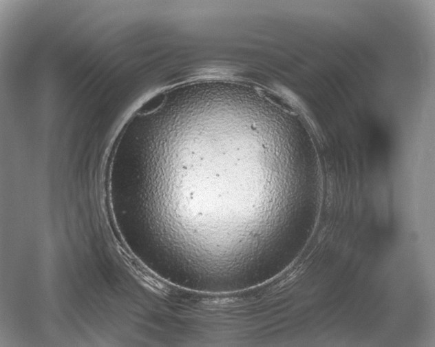 X0000059801435200510241317