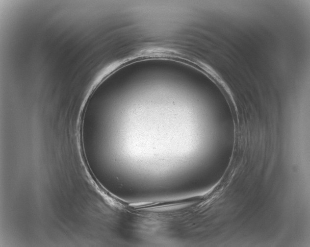 X0000059801437200510241317