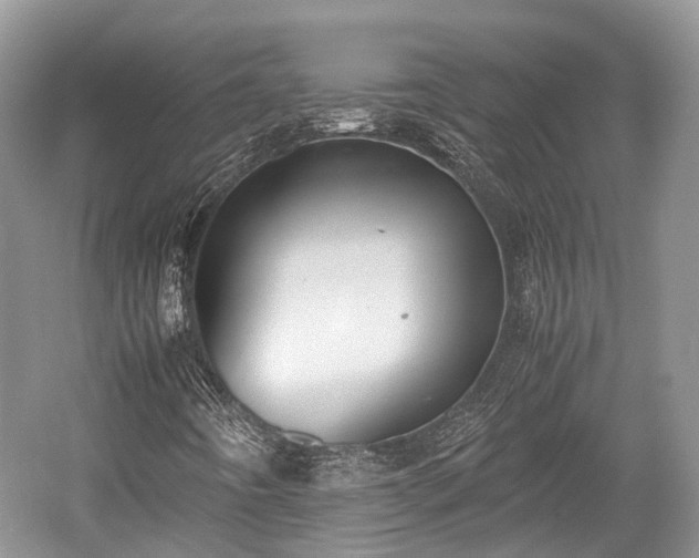 X0000059801442200510241317