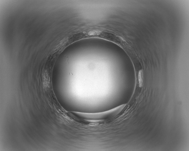 X0000059801443200510241317