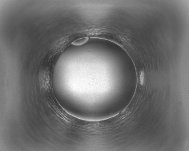 X0000059801444200510241317