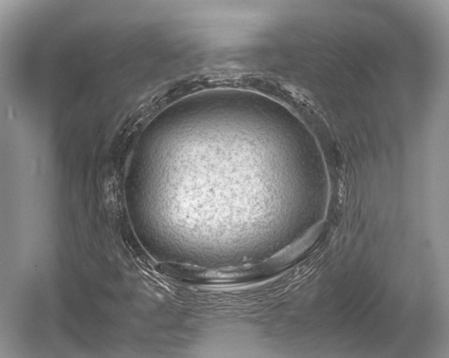 X0000059801445200510241317